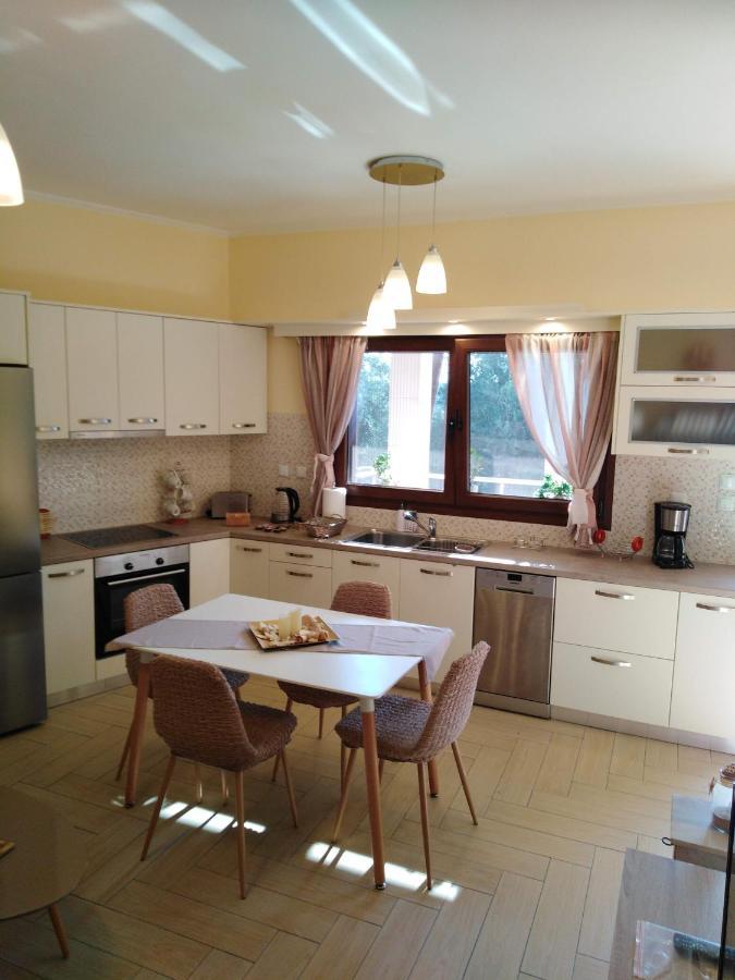 Meraki Apartment Zenempisatika Extérieur photo